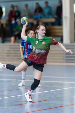 Bild 105 - F HSG Kremperheide/Muensterdorf - HSG Holstein Kiel/Kronshagen : Ergebnis: 31:26